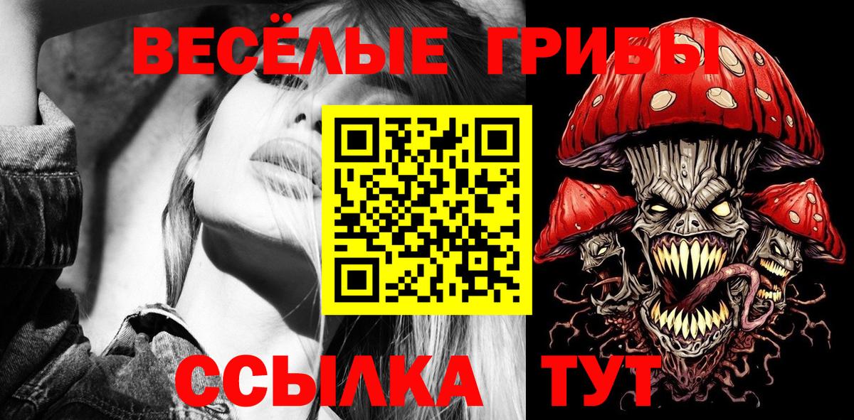 Псилоцибиновые грибы Psilocybe  Вход с VPN  Рубцовск 